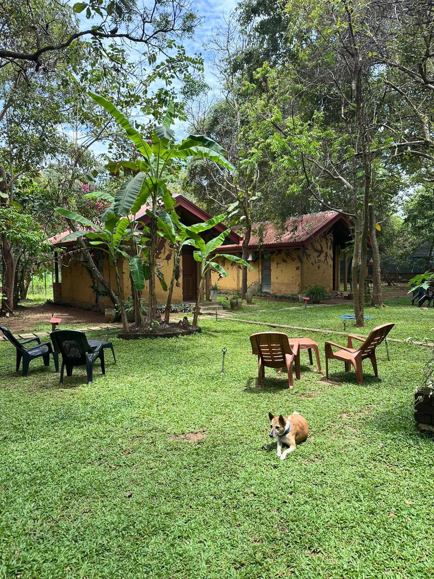 Sat Nam Village Hotel Sigiriya Exterior foto
