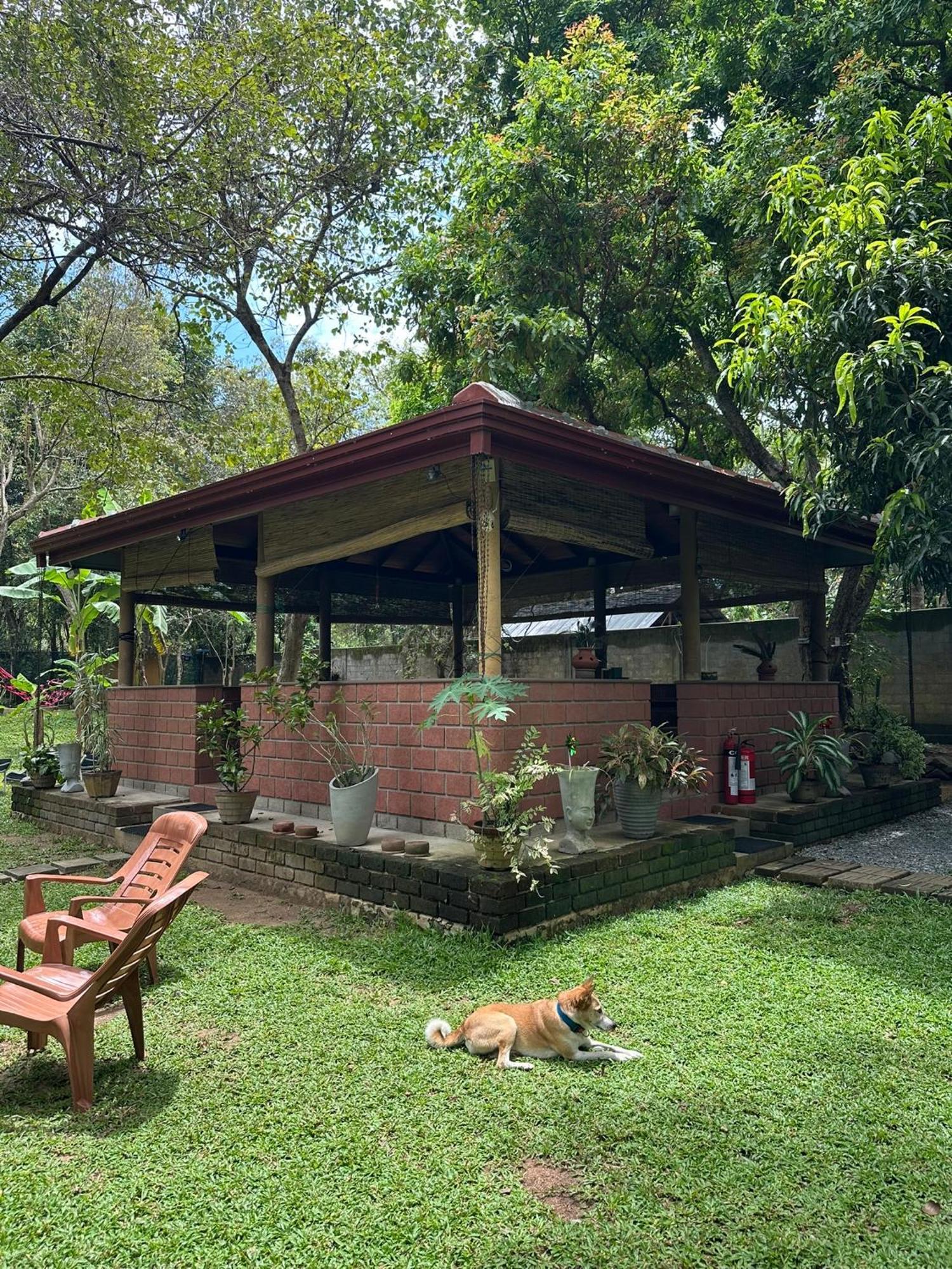 Sat Nam Village Hotel Sigiriya Exterior foto